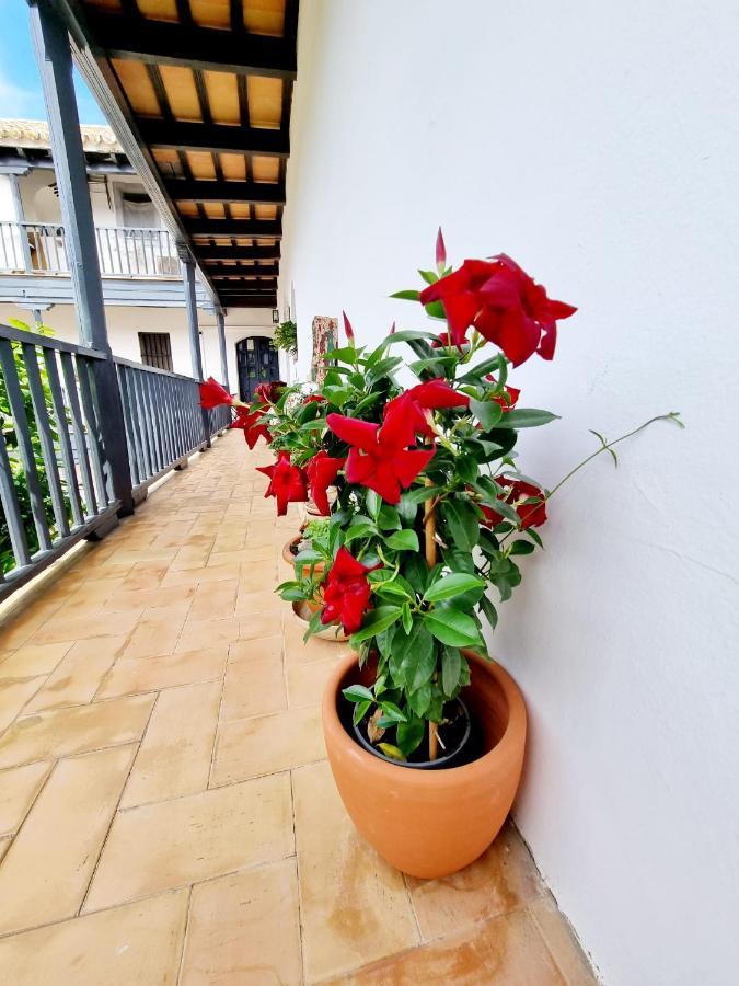 Apartamento Con Patio Sevillano ภายนอก รูปภาพ